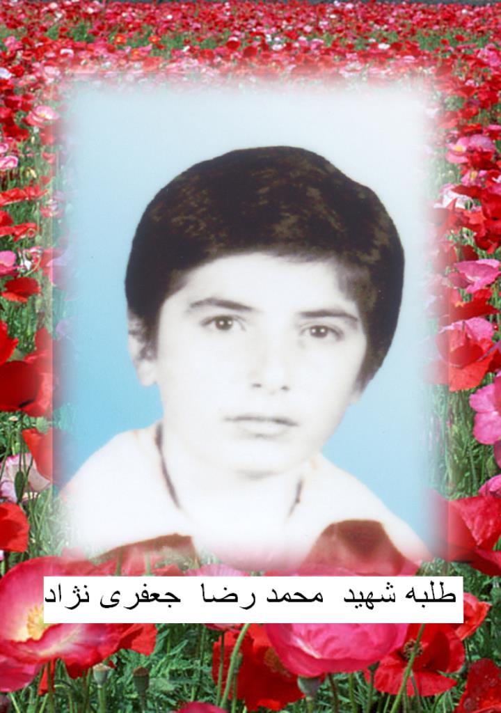 فاقد تصویر